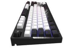 Dark Project klávesnice - 87 Ink - G3MS Mech. RGB ISO (DE)